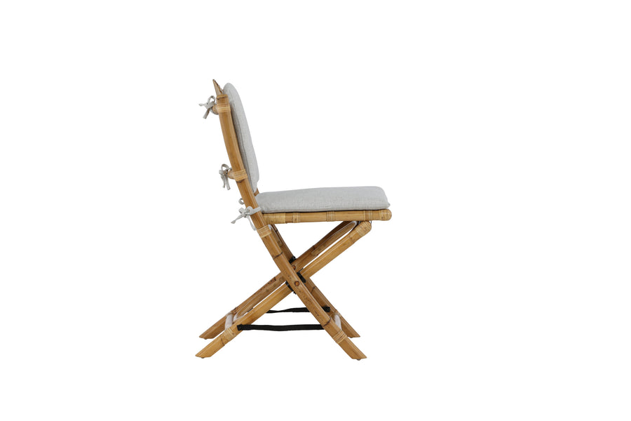 Cane Cafestol 