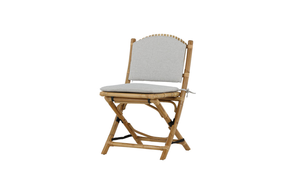 Cane Cafestol 