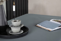 Virya Tafel 