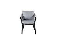Virya Eetstoel 2-pack 