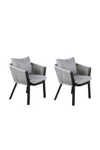 Virya Eetstoel 2-pack 