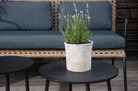 Paola Sofa Set 