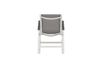 Albany Stoel 2-pack 