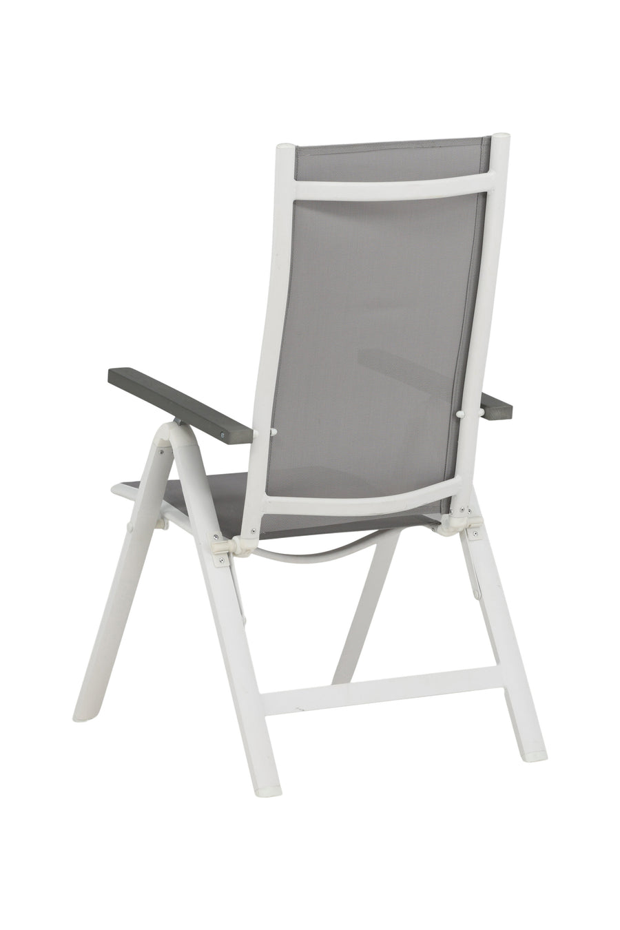 Albany Stoel 2-pack 