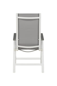Albany Stoel 2-pack 
