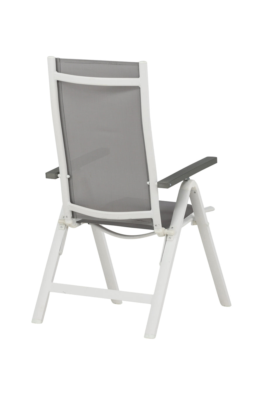Albany Stoel 2-pack 