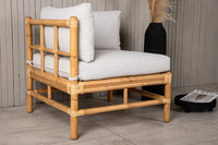 Cane Sofa module 