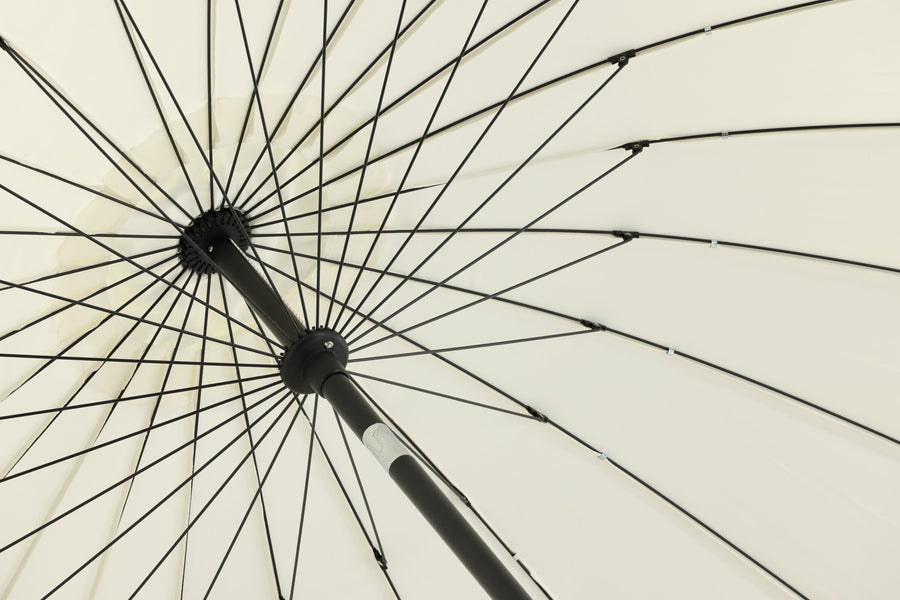 Palmetto Parasol 