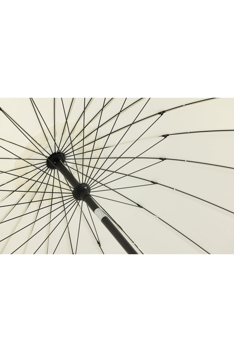 Palmetto Parasol 