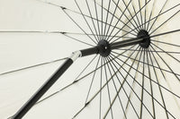 Palmetto Parasol 