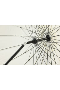 Palmetto Parasol 