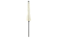 Palmetto Parasol 