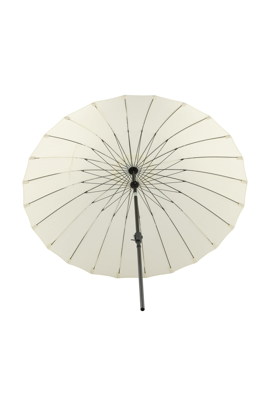 Palmetto Parasol 