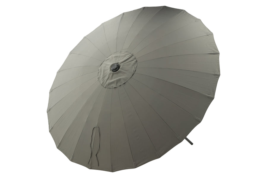 Palmetto Parasol 