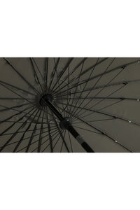 Palmetto Parasol 