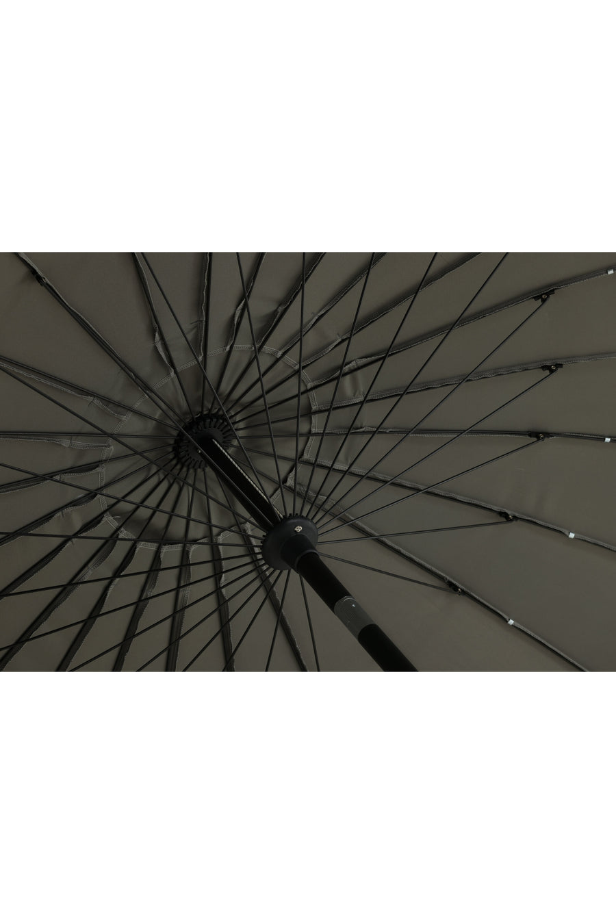 Palmetto Parasol 