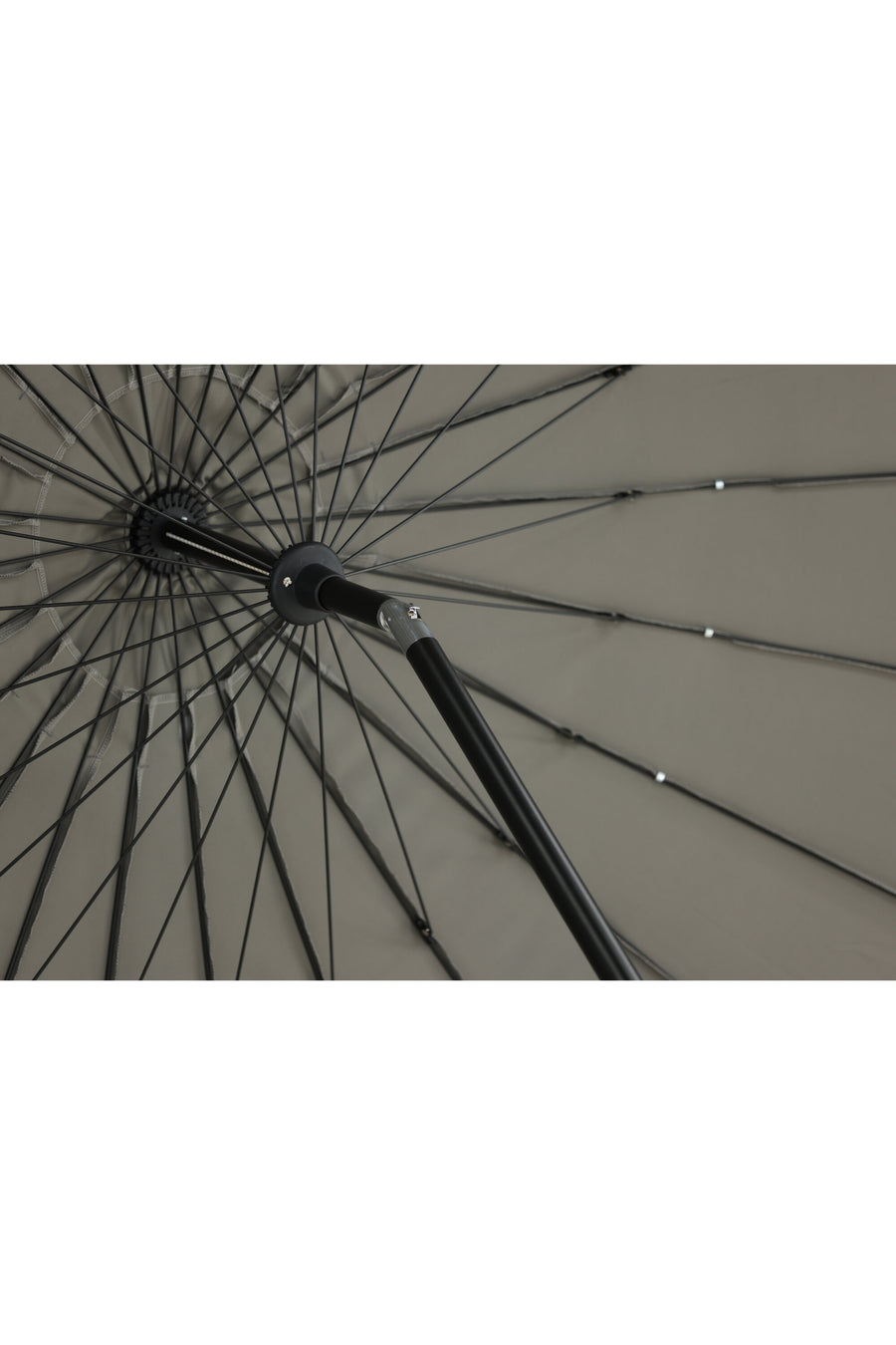 Palmetto Parasol 