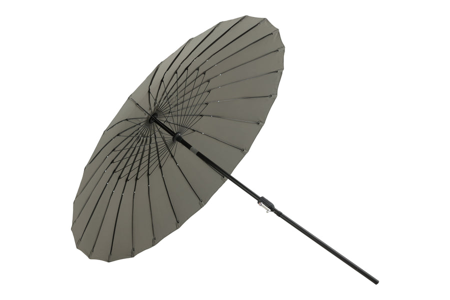 Palmetto Parasol 