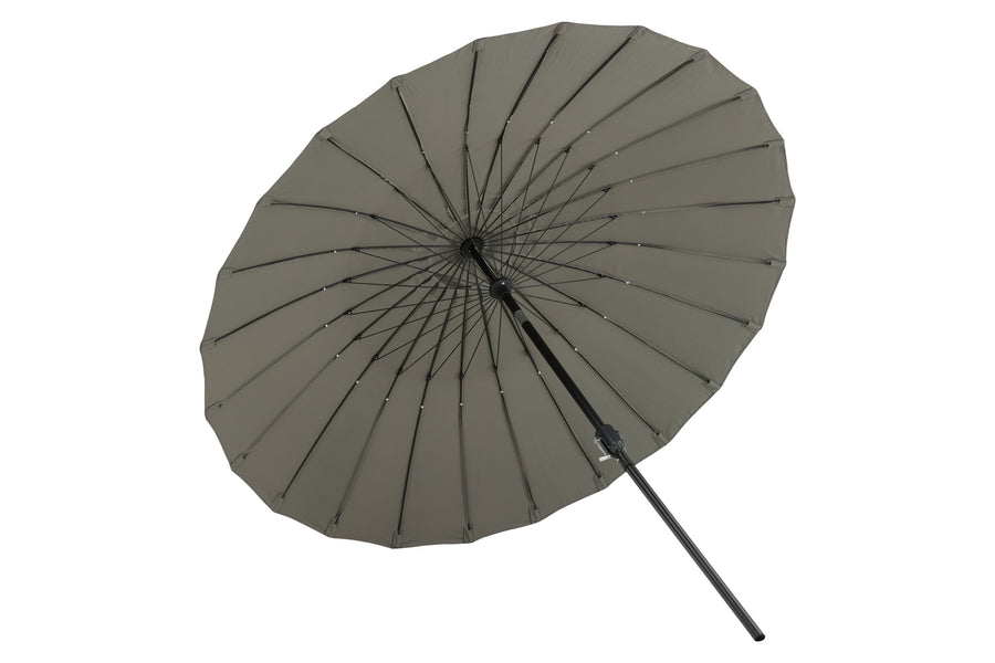 Palmetto Parasol 