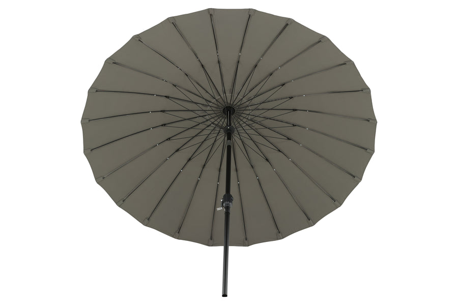 Palmetto Parasol 