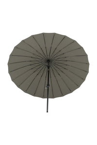 Palmetto Parasol 