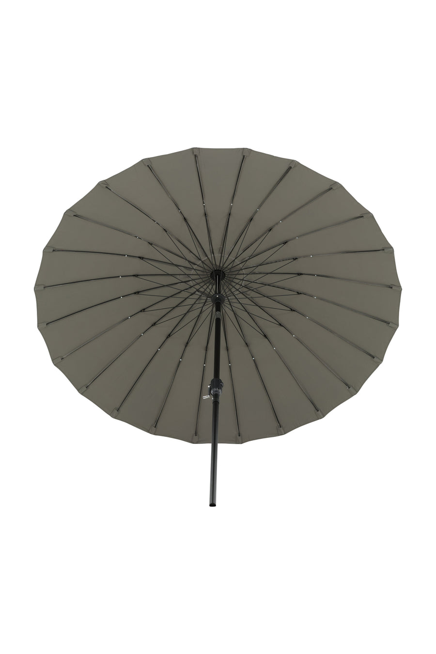 Palmetto Parasol 