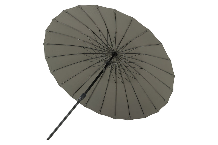Palmetto Parasol 