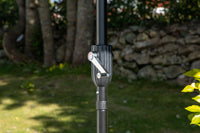 Palmetto Parasol 