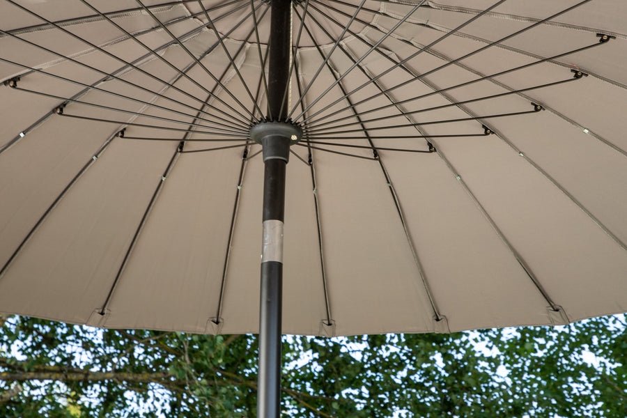 Palmetto Parasol 