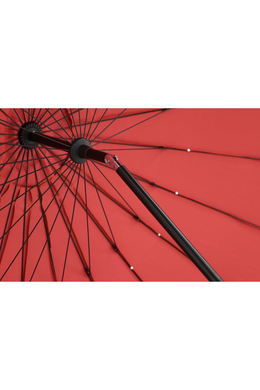 Palmetto Parasol 