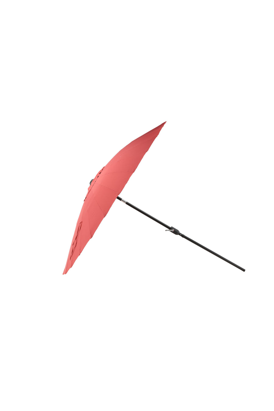 Palmetto Parasol 