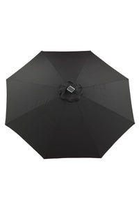 Sabal Parasol 