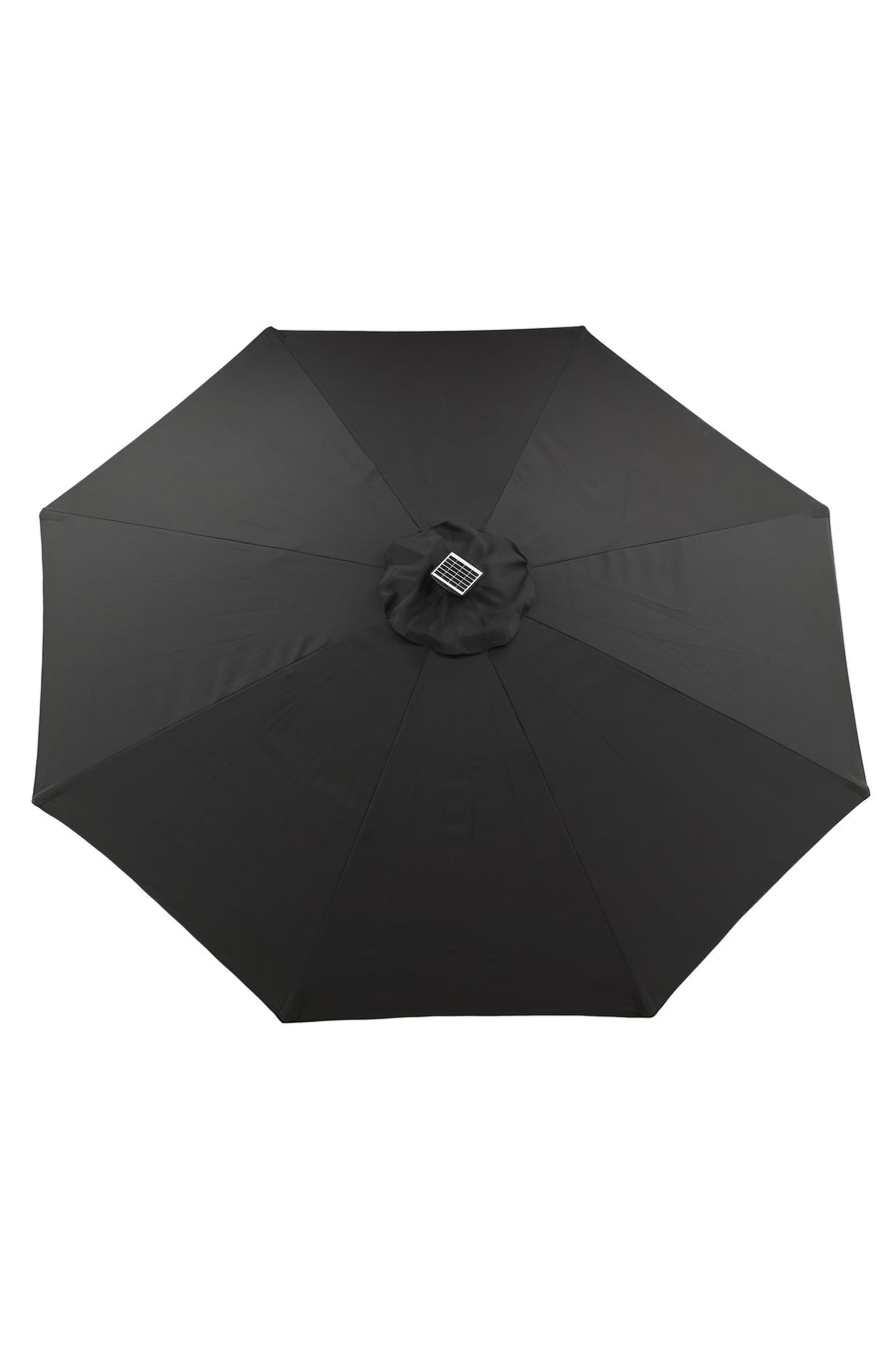 Sabal Parasol 