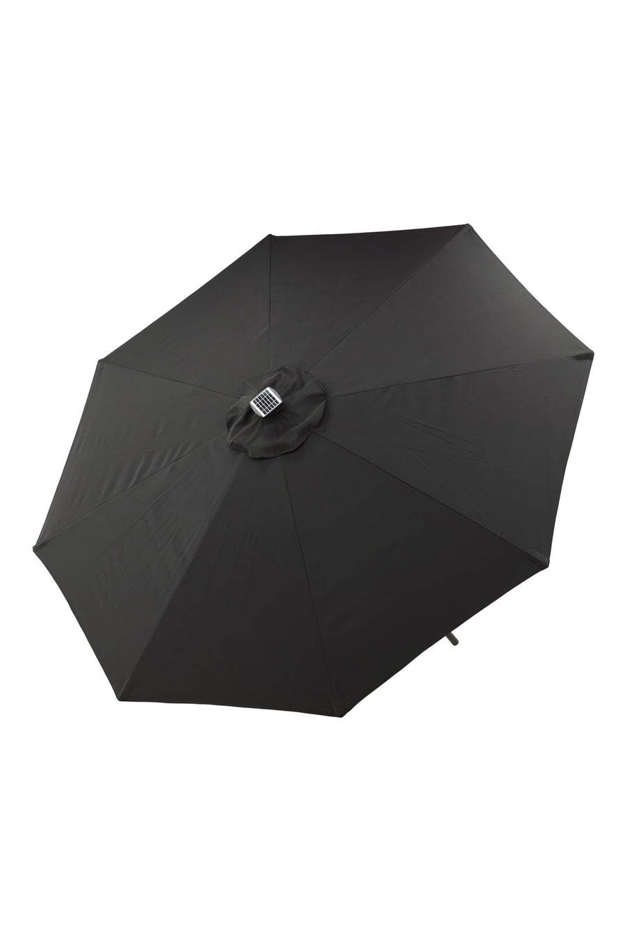 Sabal Parasol 