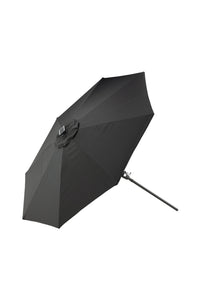 Sabal Parasol 