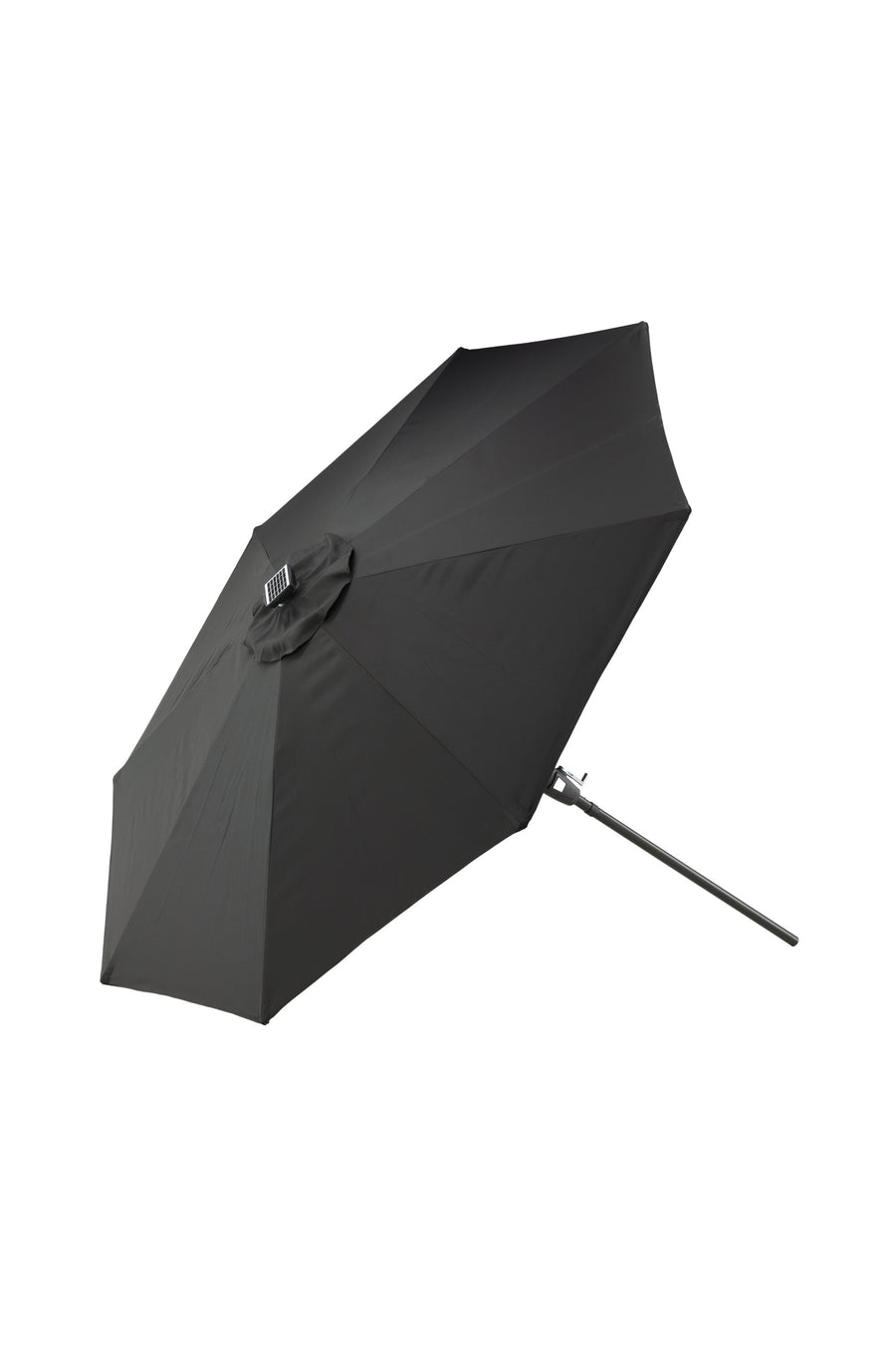 Sabal Parasol 