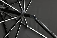 Sabal Parasol 