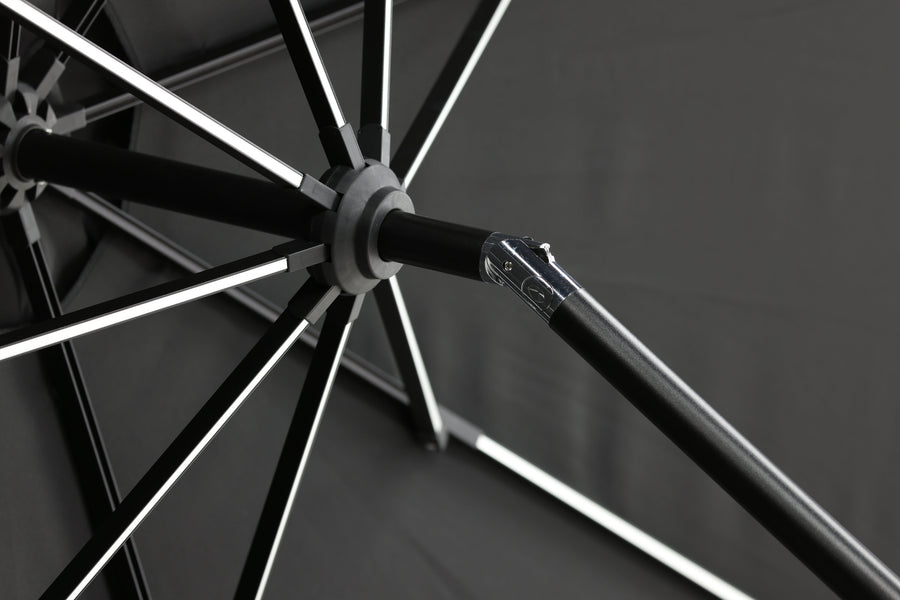 Sabal Parasol 