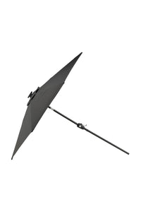 Sabal Parasol 
