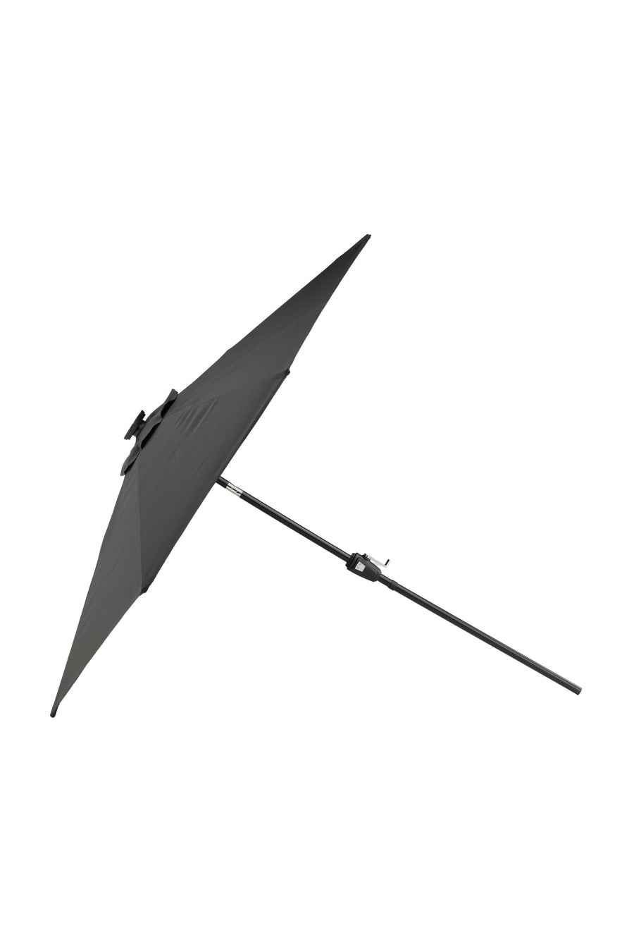 Sabal Parasol 