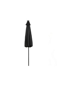 Sabal Parasol 