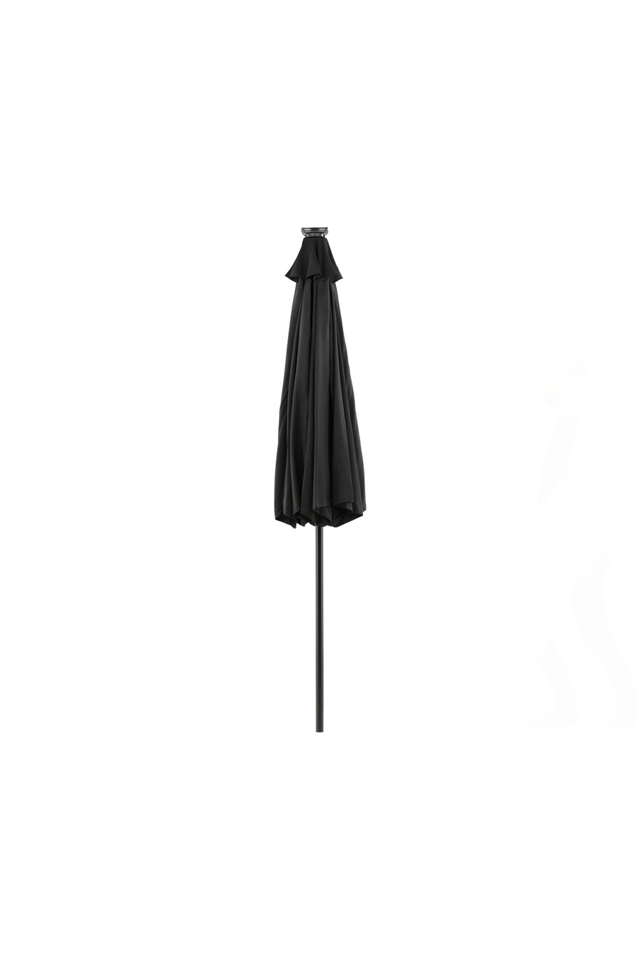 Sabal Parasol 