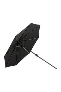 Sabal Parasol 