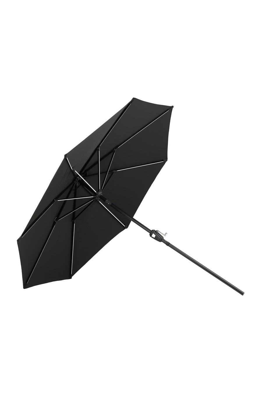 Sabal Parasol 