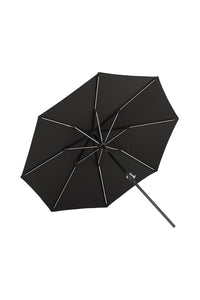 Sabal Parasol 