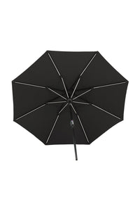 Sabal Parasol 