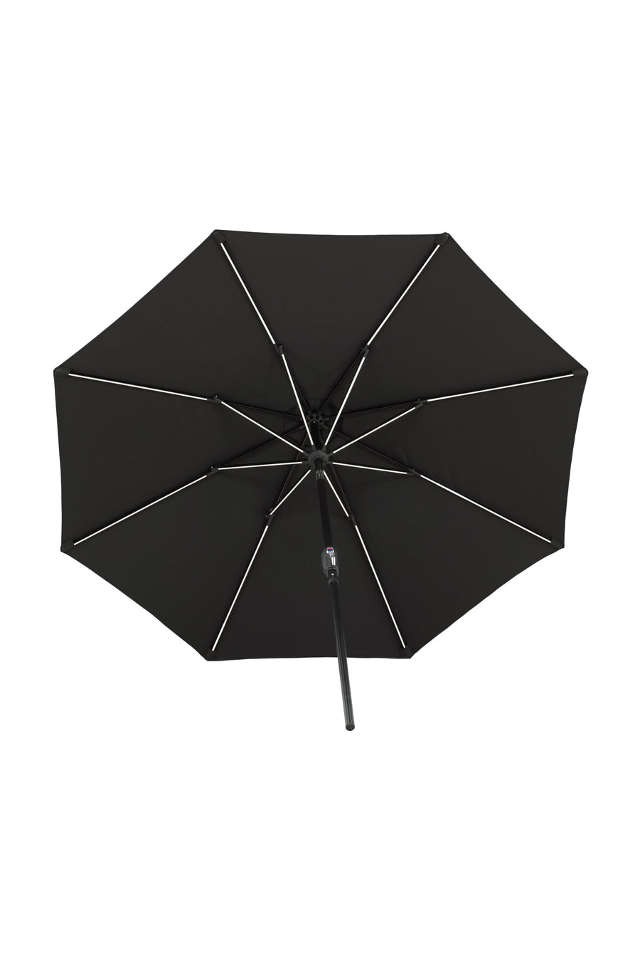 Sabal Parasol 