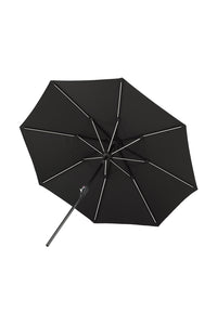Sabal Parasol 