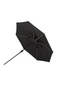 Sabal Parasol 