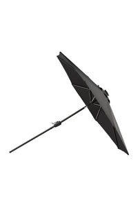 Sabal Parasol 